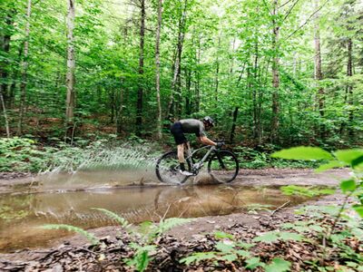 Vybíráme gravel bike