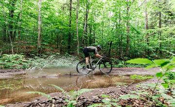 Vybíráme gravel bike