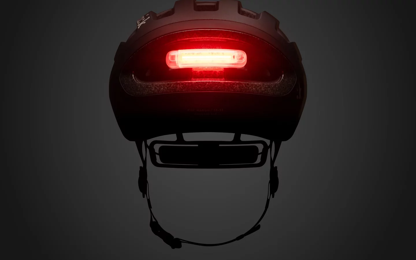 INTEGROVANÁ VIDITELNOST