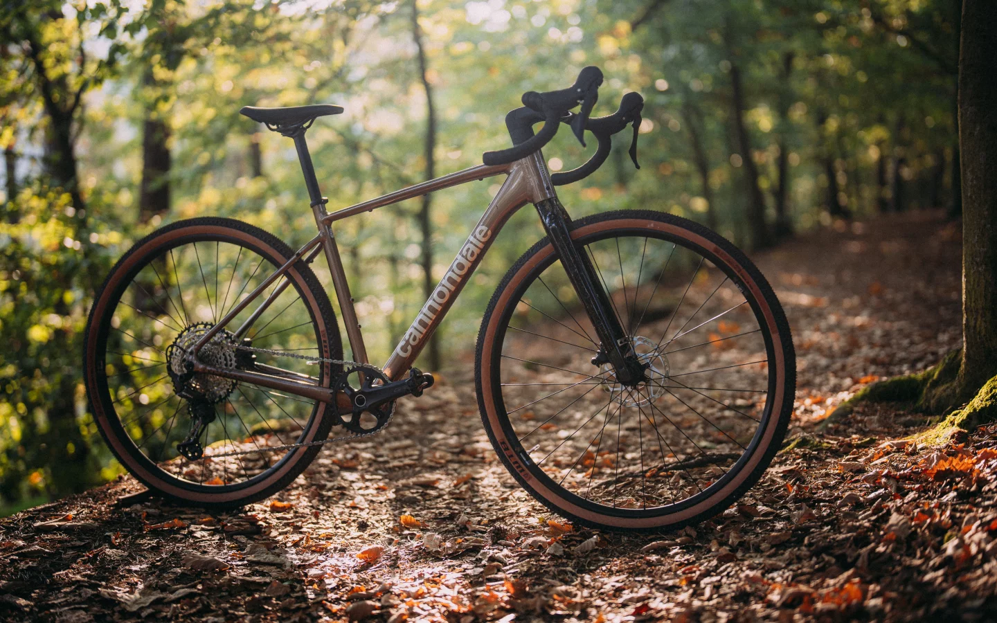 Practicality that will surprise you