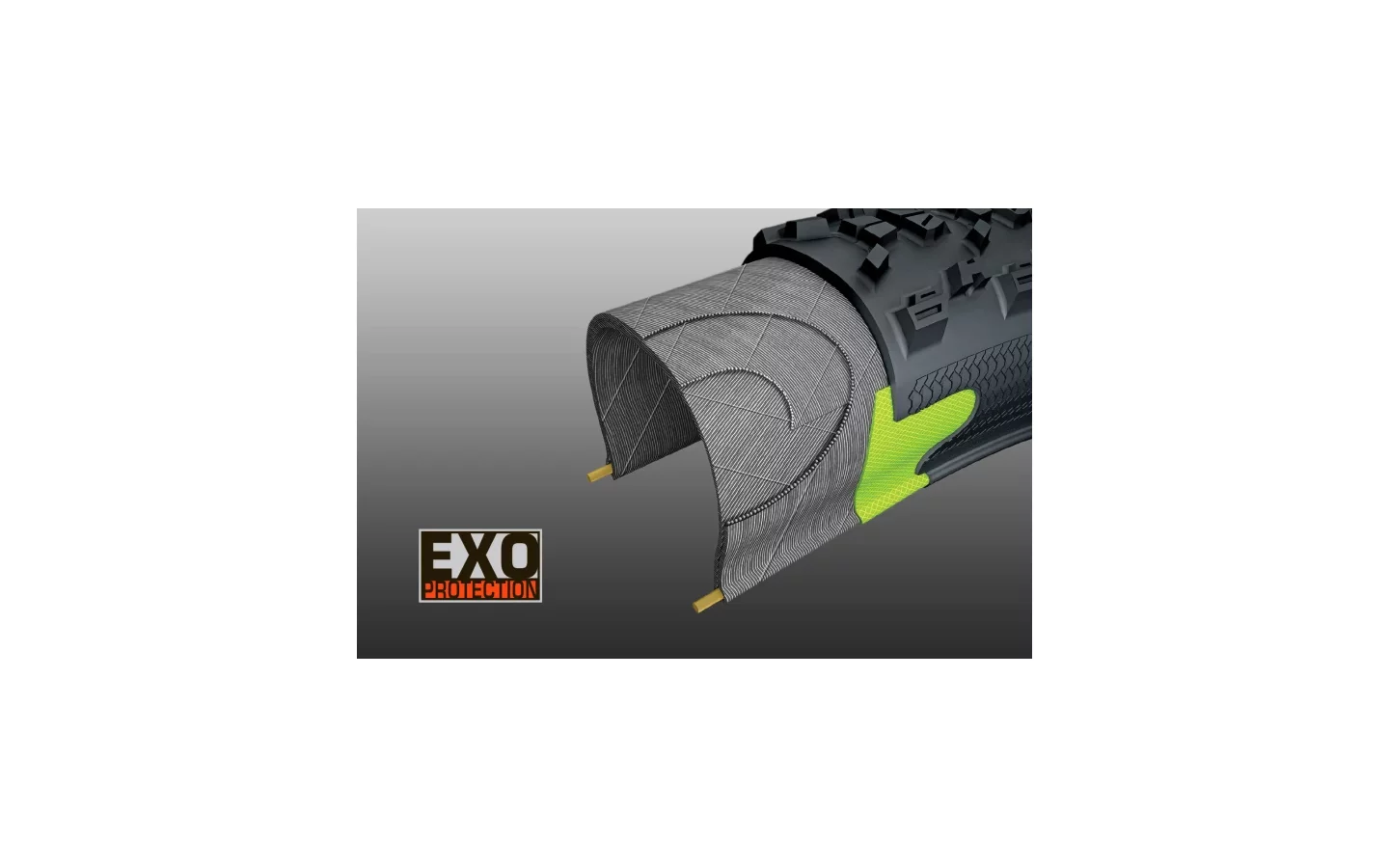 EXO Protection ochrana plášťů Maxxis | EXO Protection