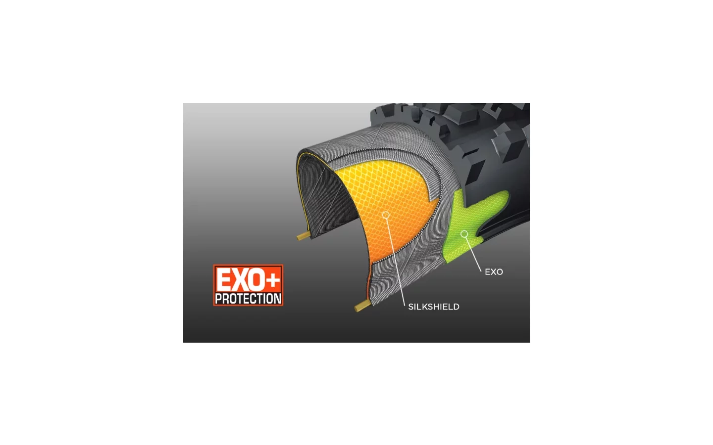 EXO+ Protection ochrana plášťů Maxxis | EXO+ Protection